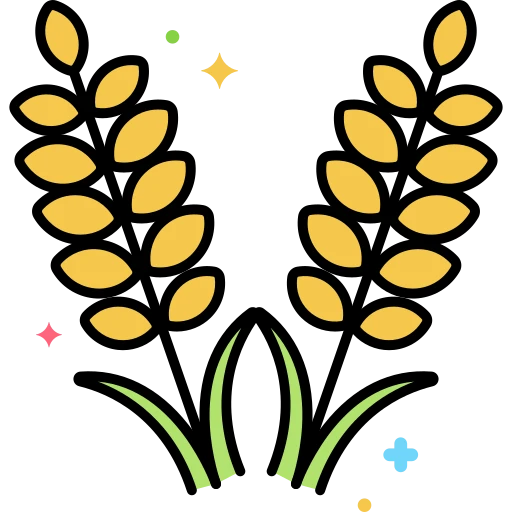 চাল, ডাল এবং শস্যদানা